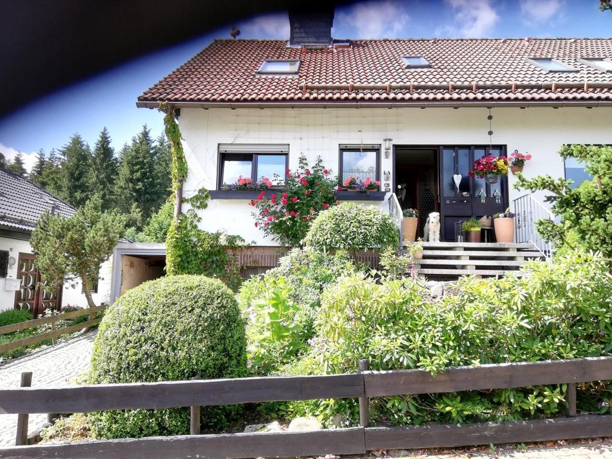 Ferienwohnung Anemone Mit Bergblick Braunlage Εξωτερικό φωτογραφία